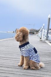 Shirt - Polo Blu